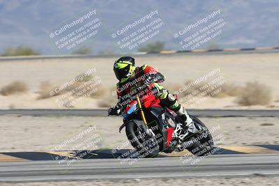 media/Oct-13-2025-Moto Forza (Mon) [[a66d839500]]/3-B Group/Session 4 Turn 4 Tree of Life/